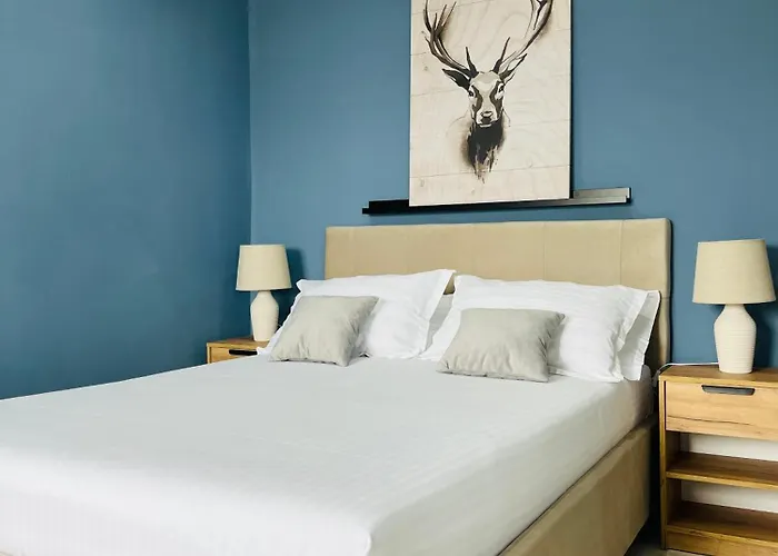 Miralex - Tomis Nord-ciresica アパート