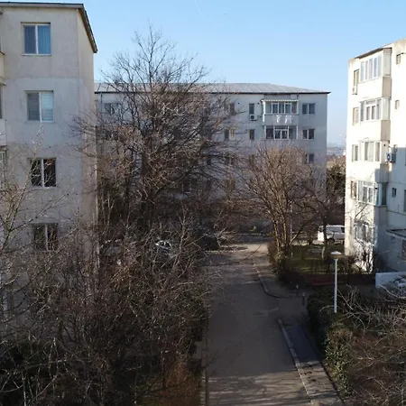 Miralex - Tomis Nord-ciresica