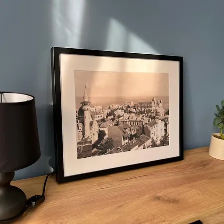 Miralex - Tomis Nord-ciresica Constanţa